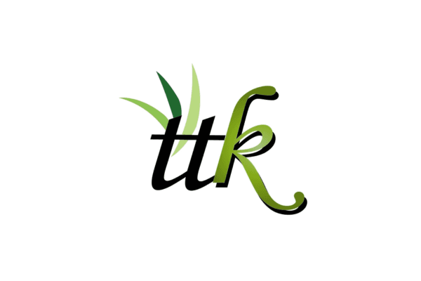Sfea 2024 Ttk Services