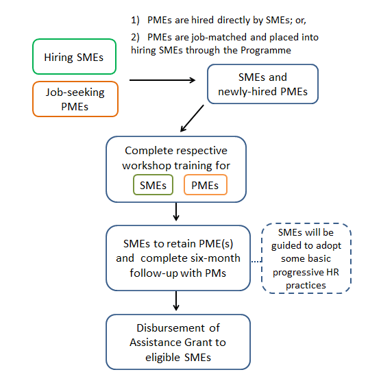 PMax-Infographic